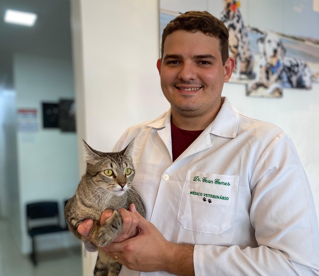 Castração de cães e gatos é fundamental em política de bem-estar animal e saúde pública